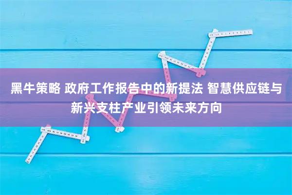 黑牛策略 政府工作报告中的新提法 智慧供应链与新兴支柱产业引领未来方向