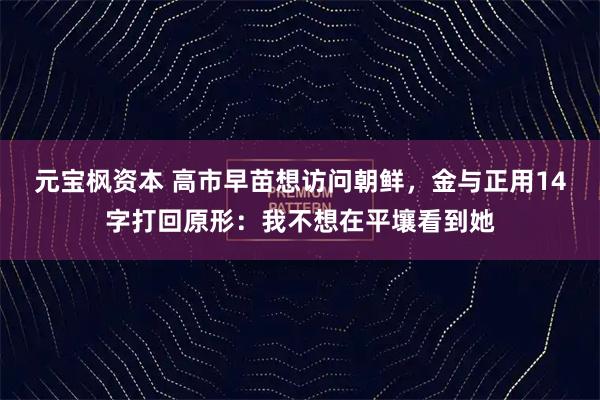 元宝枫资本 高市早苗想访问朝鲜，金与正用14字打回原形：我不想在平壤看到她