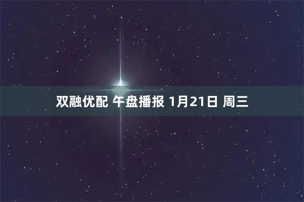 双融优配 午盘播报 1月21日 周三