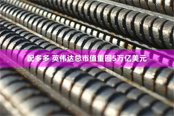 配多多 英伟达总市值重回5万亿美元